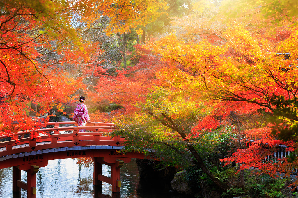 Autumn park by Patrick ;-) on 500px.com