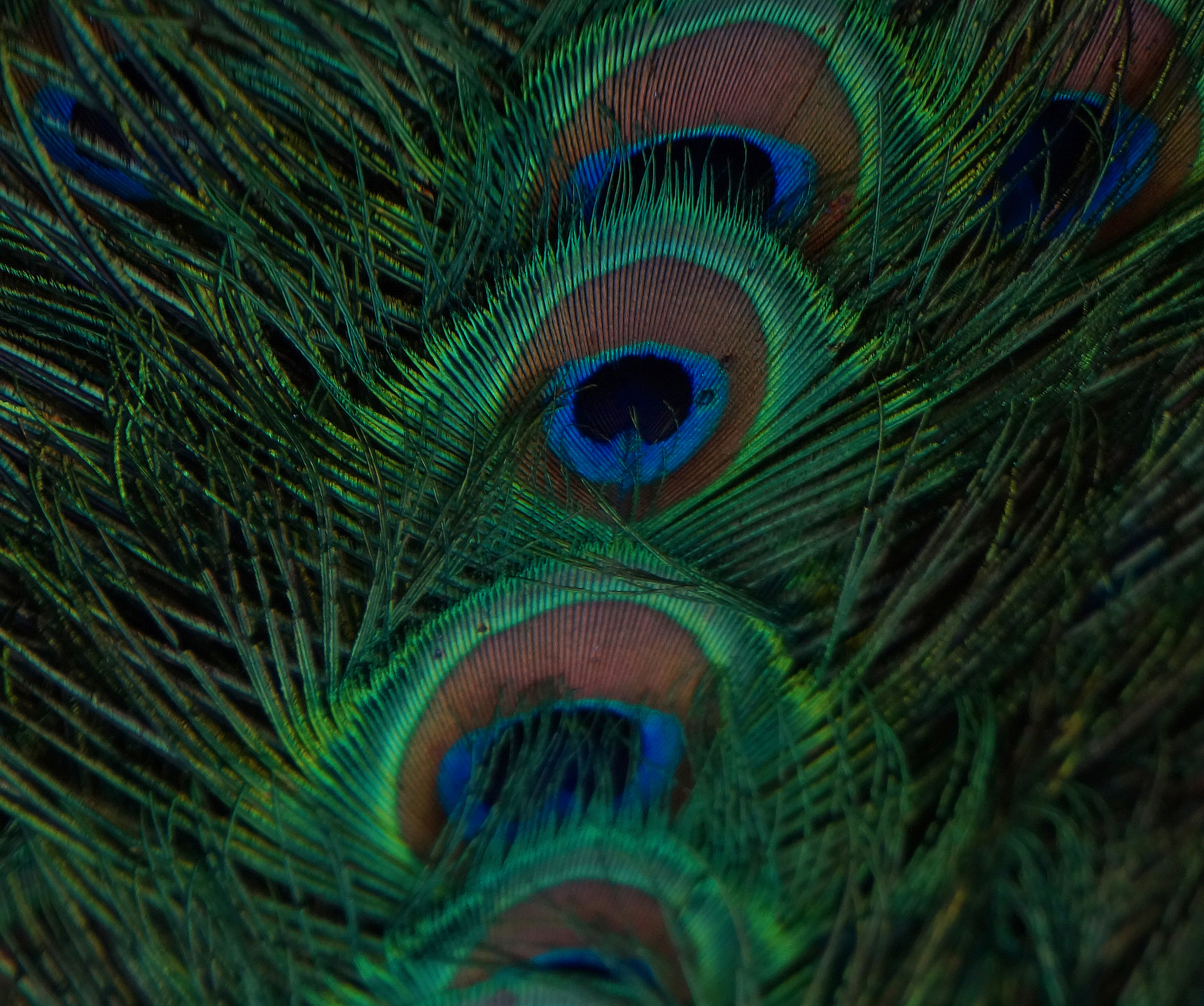 Sony Alpha a3000 sample photo. Watching photography