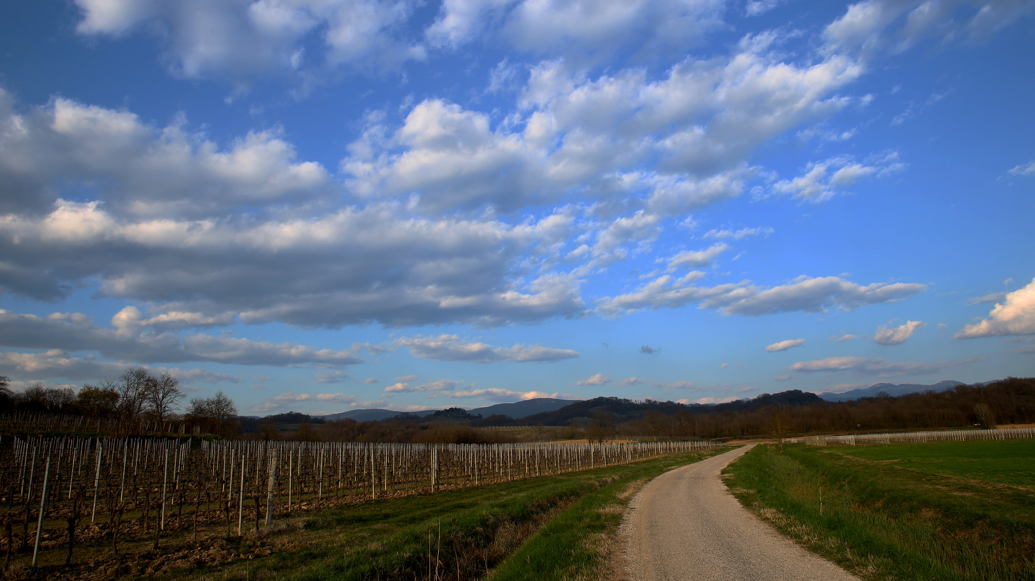 Canon EOS 6D + Canon EF 24mm F2.8 sample photo. Looking far_2 photography