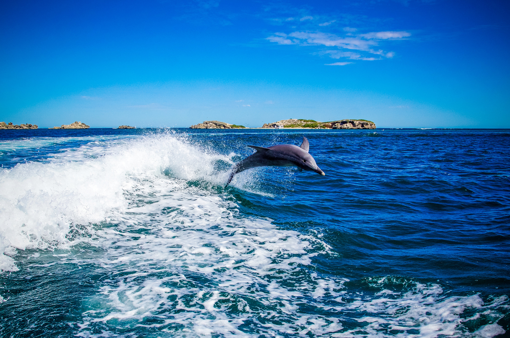 Sigma 17-70mm F2.8-4 DC Macro HSM sample photo. Wildlife encounter photography
