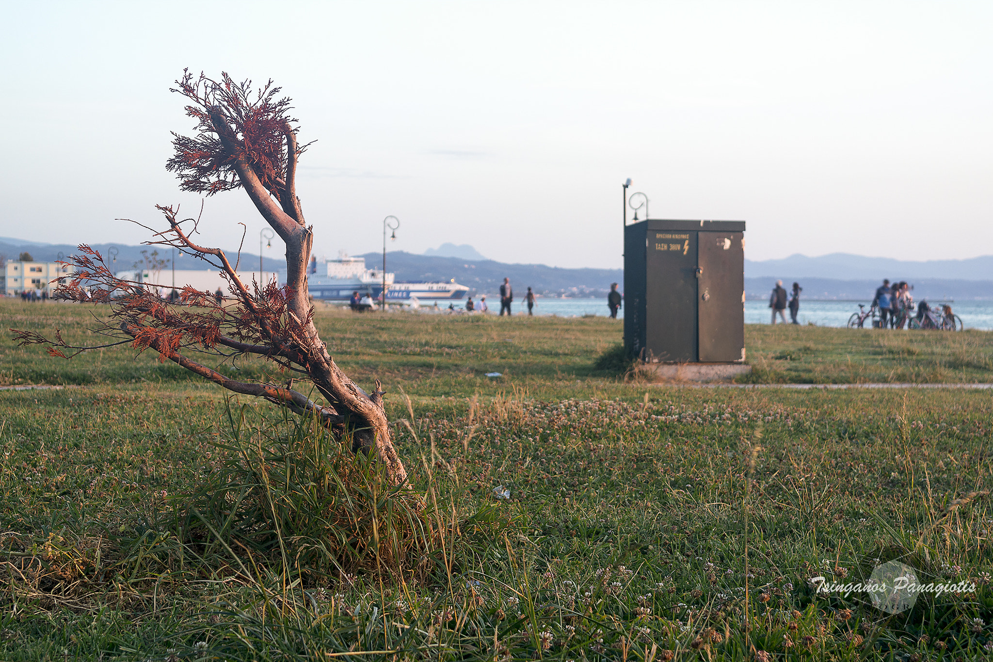 Samsung NX 20-50mm F3.5-5.6 ED sample photo