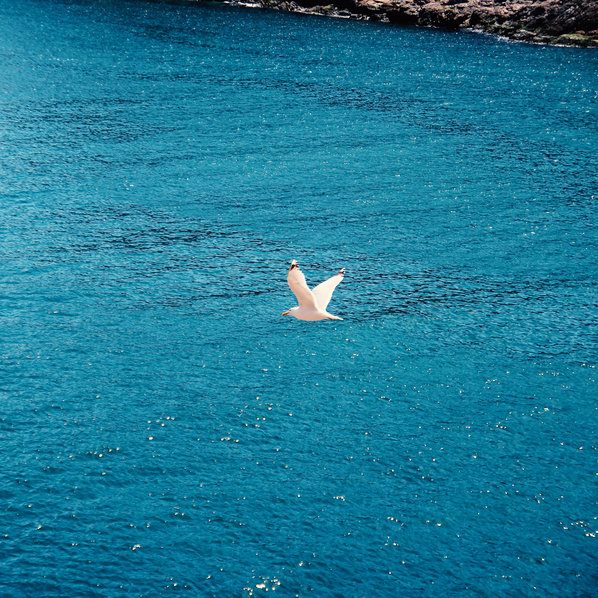 Canon EOS 600D (Rebel EOS T3i / EOS Kiss X5) sample photo. Through the sea photography