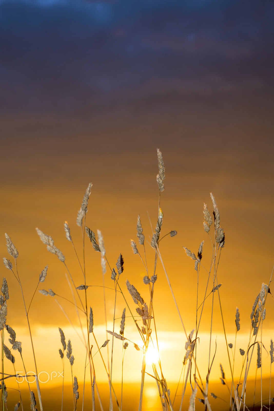 Sigma 70-300mm F4-5.6 APO DG Macro sample photo. Beautiful sunset over the ballybunion coast photography