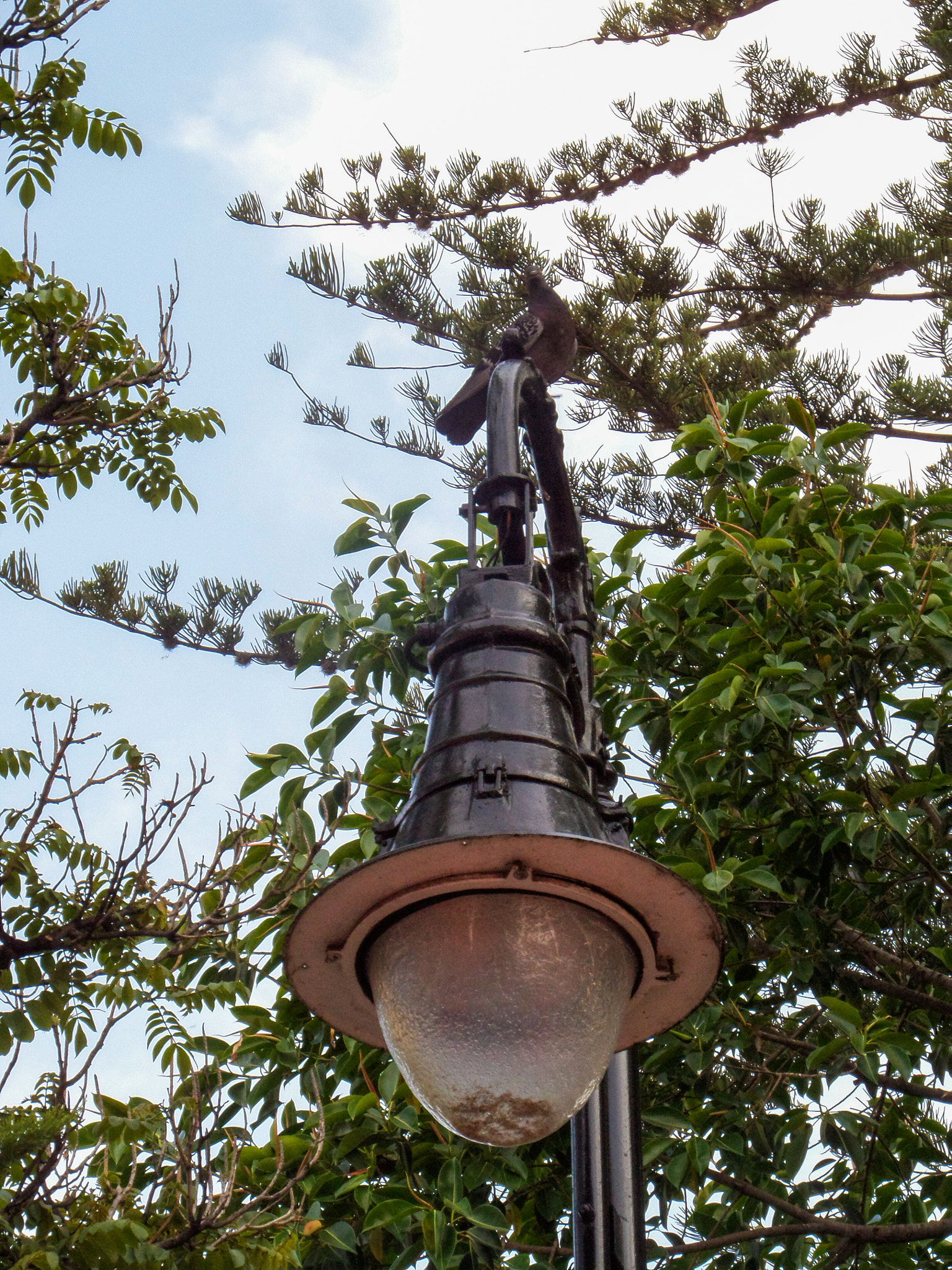 Samsung WB200F/WB201F/WB202F sample photo