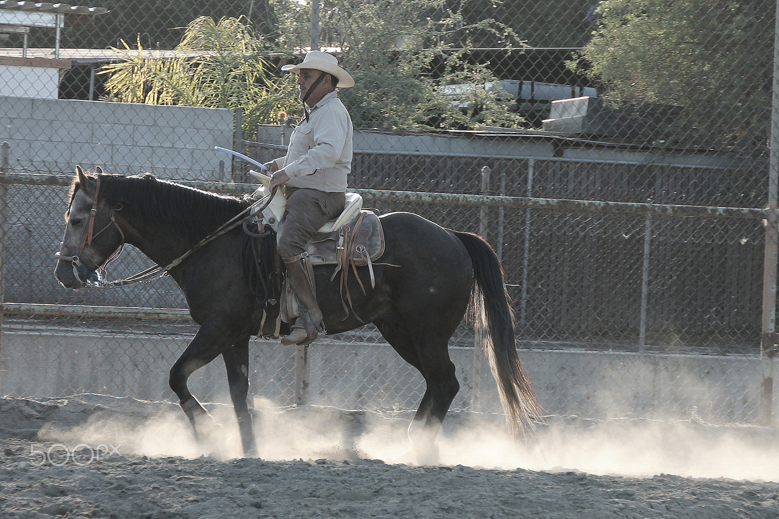 Canon EOS 1100D (EOS Rebel T3 / EOS Kiss X50) sample photo. A horse, and its human photography