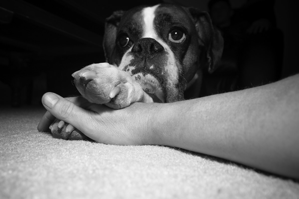 Sigma 10-20mm F4-5.6 EX DC HSM sample photo. Sadie pins my shutter hand. photography