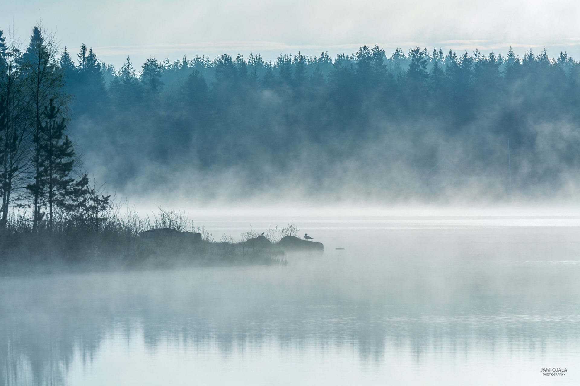 Nikon AF-S Nikkor 70-200mm F2.8G ED VR II sample photo. Cold spring morning photography