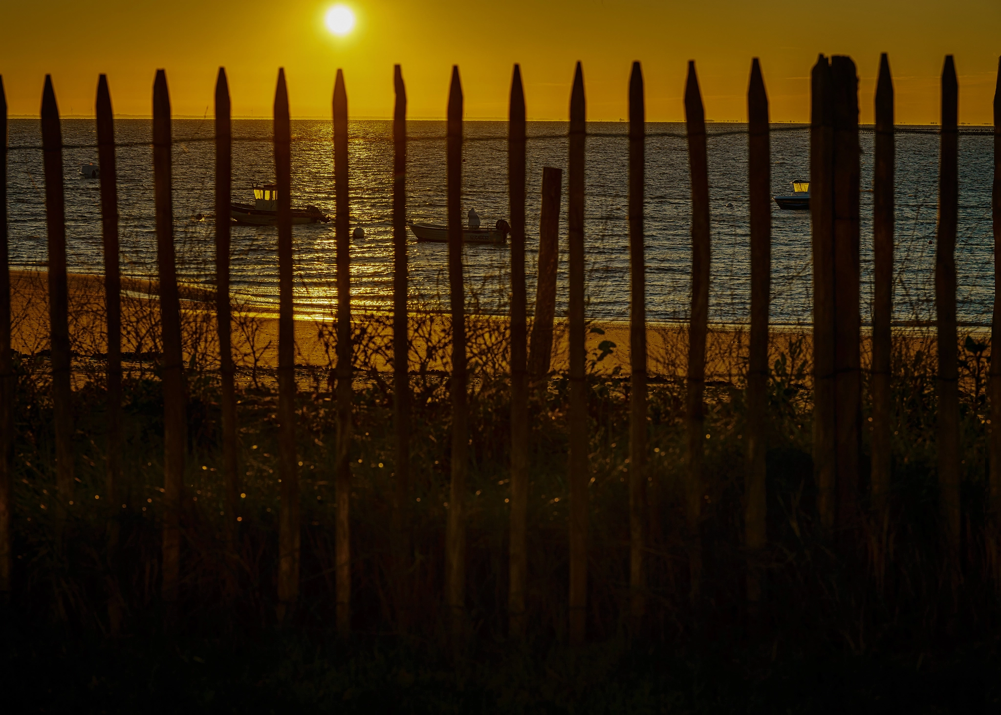 Sony a7R II + Canon EF 24-70mm F4L IS USM sample photo. Magic of a sunrise at breakfast … photography