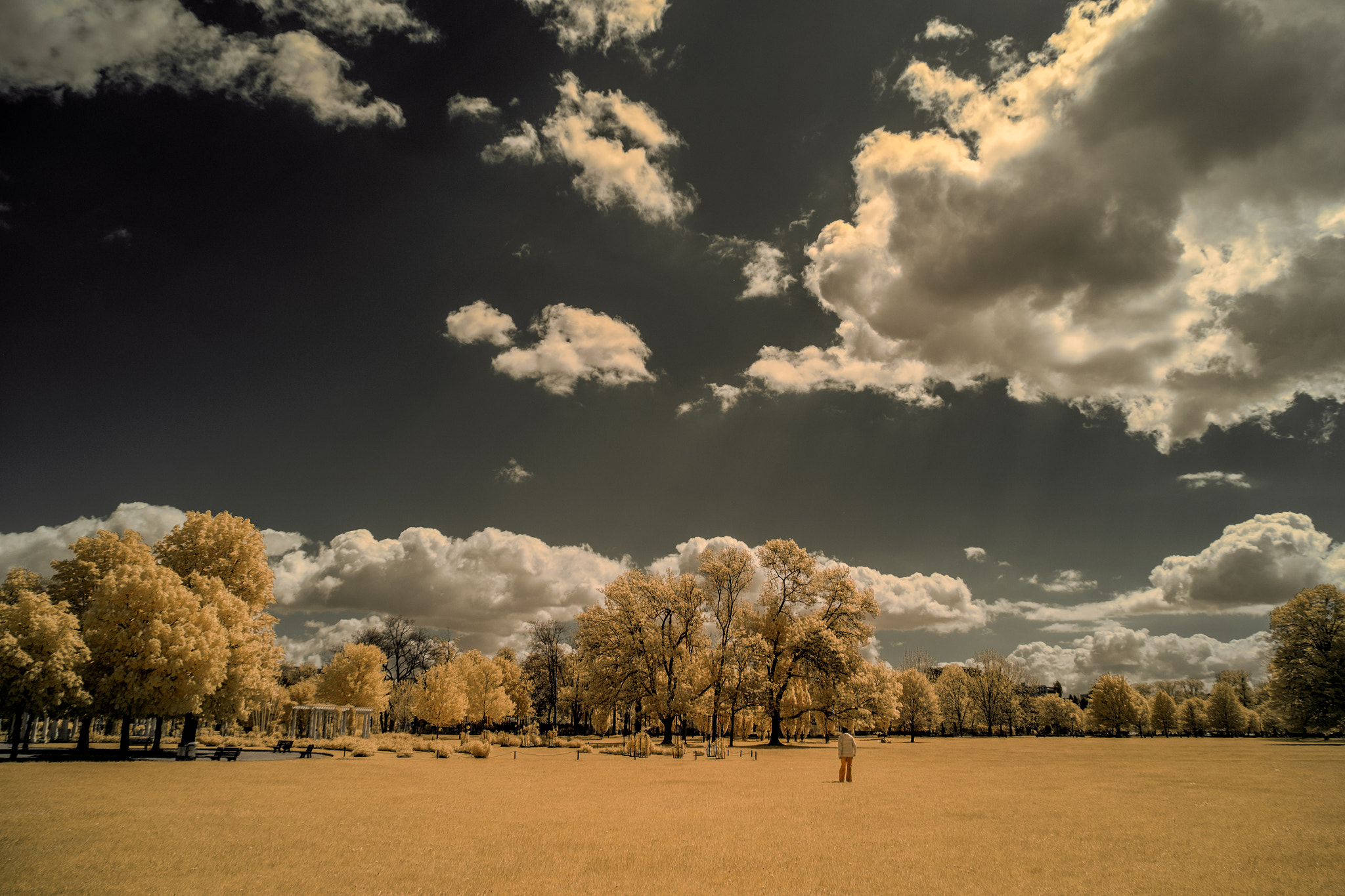Fujifilm X-E1 + Fujifilm XF 18-135mm F3.5-5.6 R LM OIS WR sample photo. ...alonehideandseek... photography