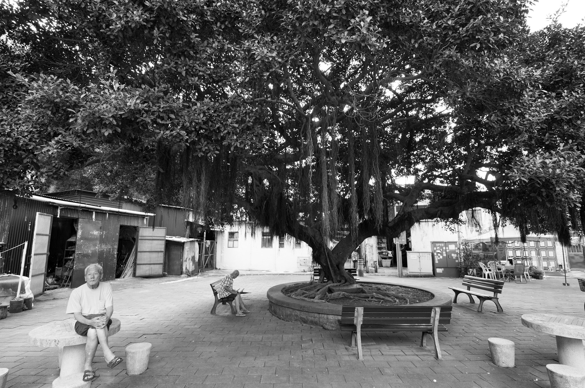 Leica T (Typ 701) sample photo. Old man old tree old village photography