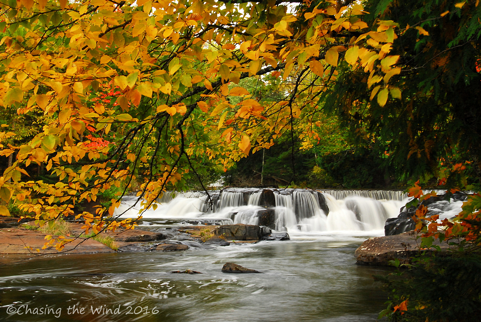 Nikon D200 sample photo. Fall colors photography