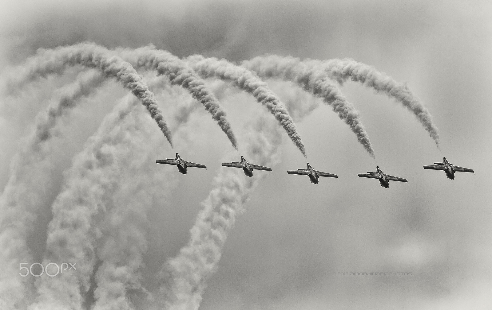 Sigma 150-600mm F5-6.3 DG OS HSM | C sample photo. " snowbirds " photography
