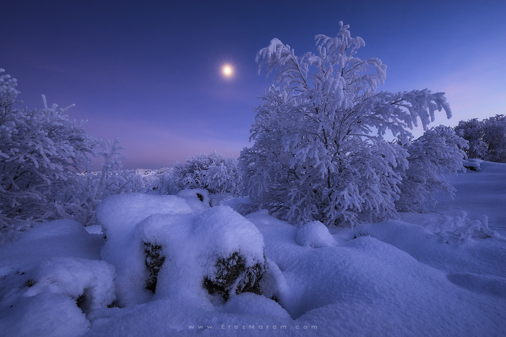 16-35mm F4 OSS sample photo. The purple hour photography