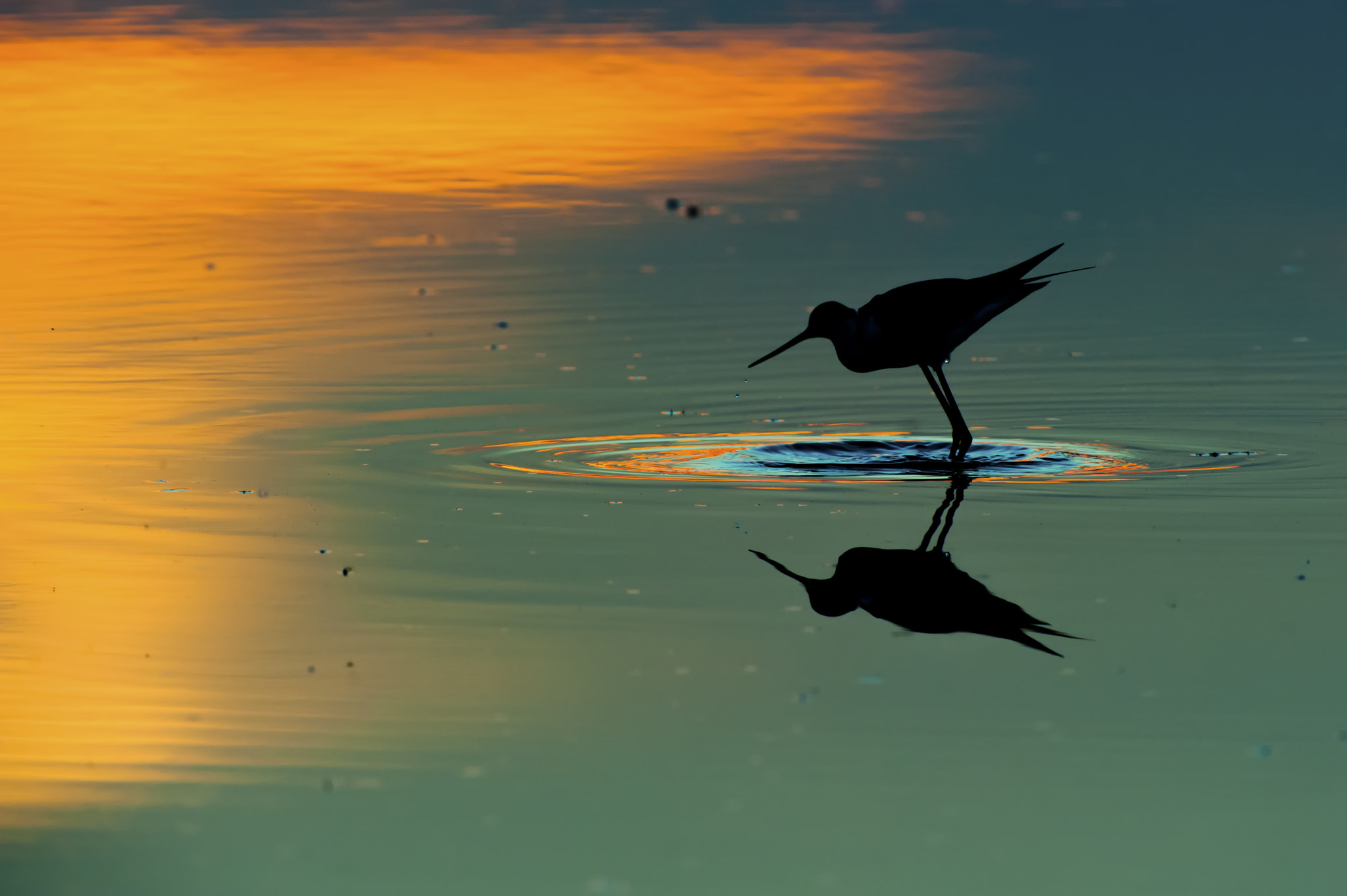 Nikon AF-S Nikkor 300mm F2.8G ED VR II sample photo. Magic sunset photography