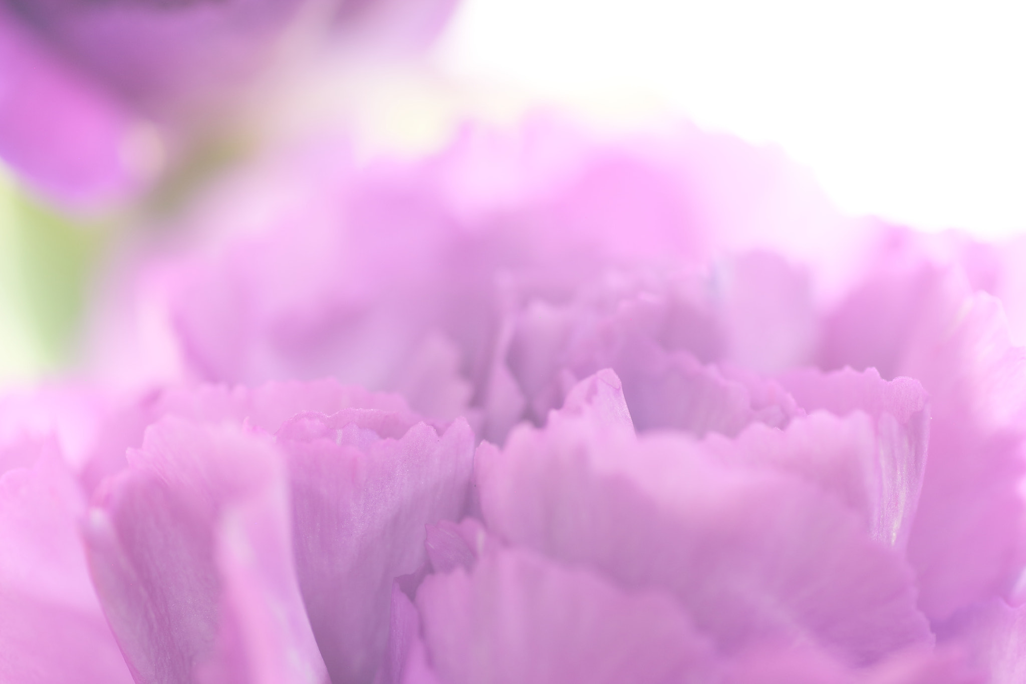 Tamron SP AF 90mm F2.8 Di Macro sample photo. Moondust photography