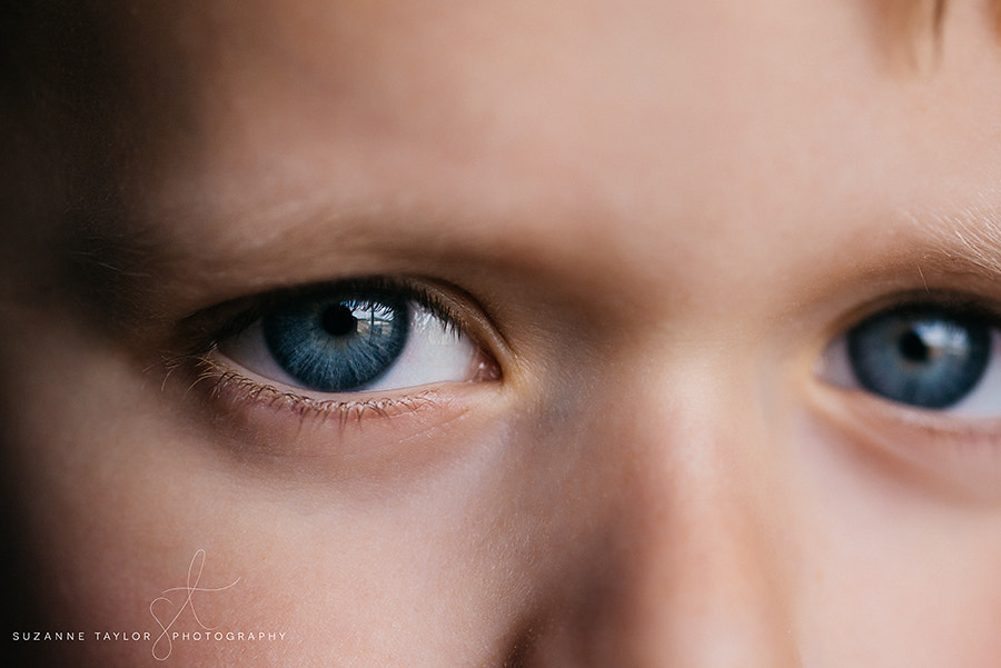 Nikon D800 + AF Micro-Nikkor 105mm f/2.8 sample photo. Blue steel. photography