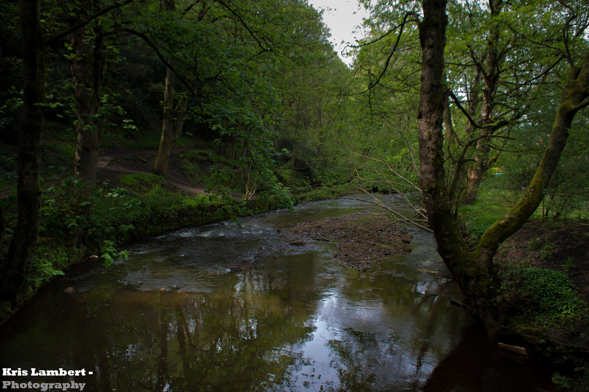 Canon EOS 100D (EOS Rebel SL1 / EOS Kiss X7) + Sigma 18-50mm F2.8-4.5 DC OS HSM sample photo. River #1 photography