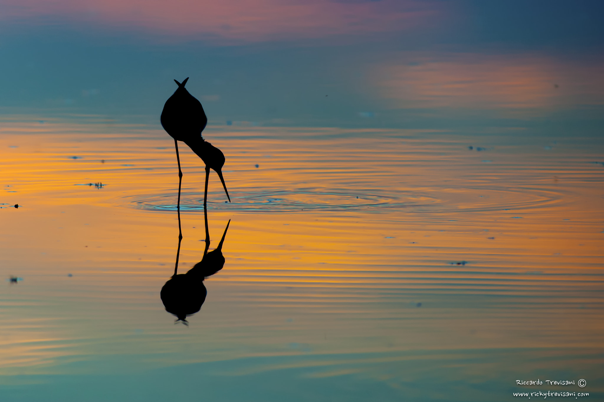Nikon AF-S Nikkor 300mm F2.8G ED VR II sample photo. Magic reflections photography