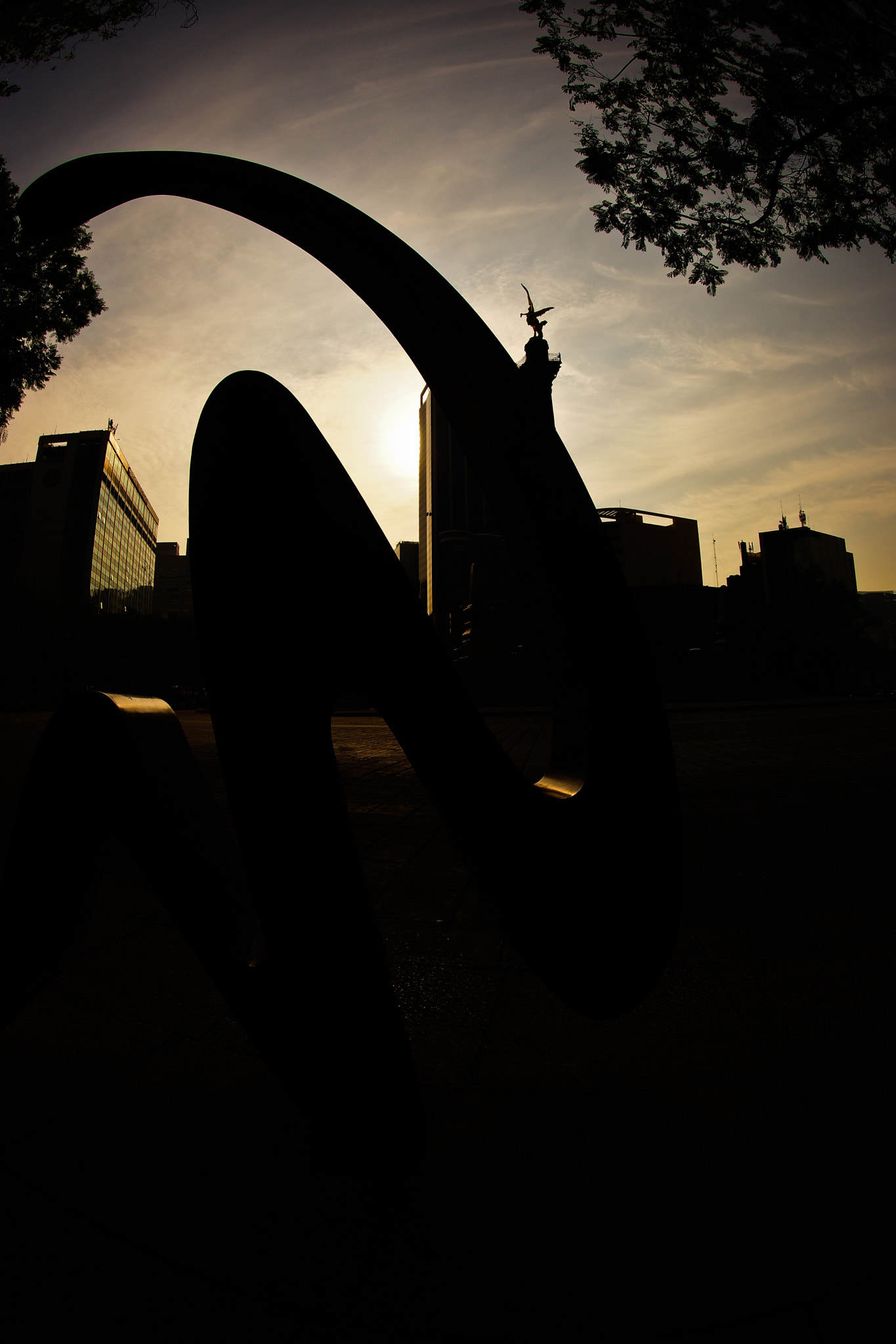 Sony a99 II + Sony 16mm F2.8 Fisheye sample photo. Curvas & alas photography