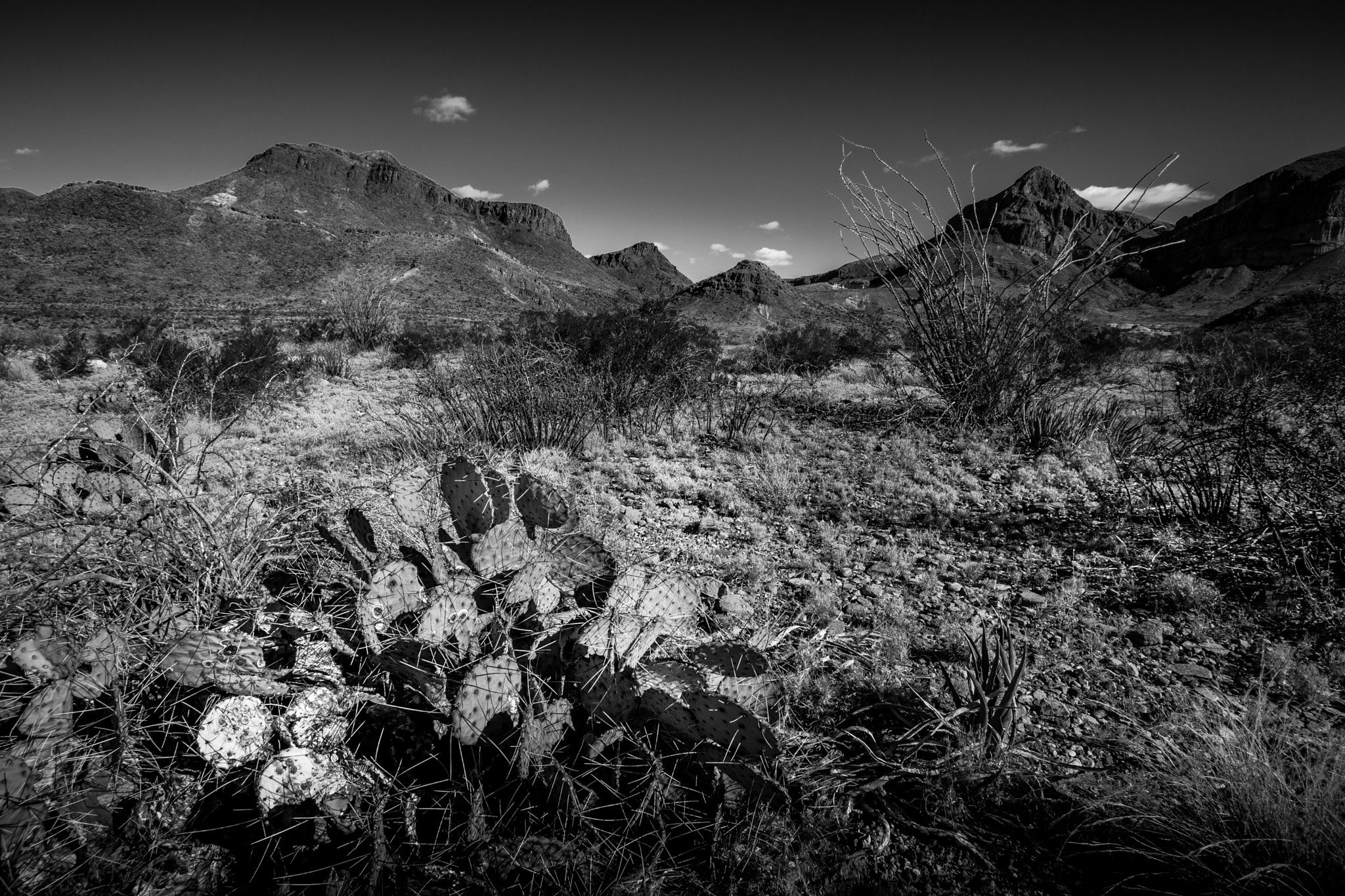 Canon EOS 5D + Canon EF 17-35mm f/2.8L sample photo. Big bend scene #5 photography