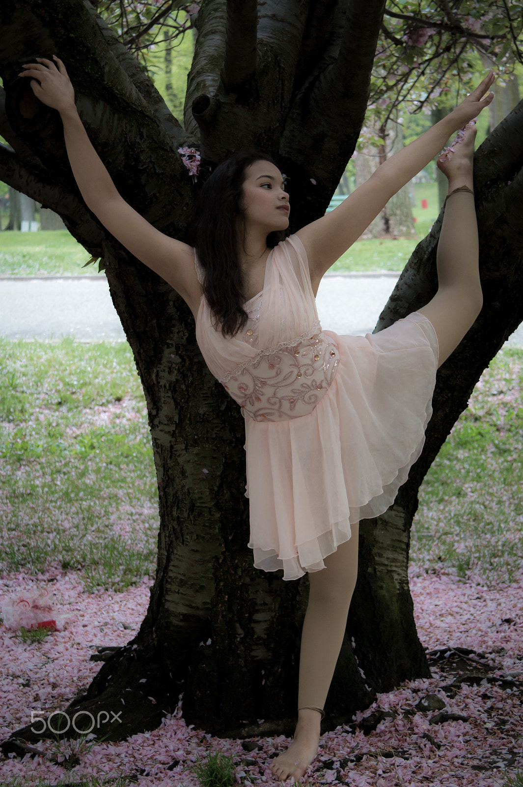 Canon EF 24-85mm F3.5-4.5 USM sample photo. H o'neill isaacson photography