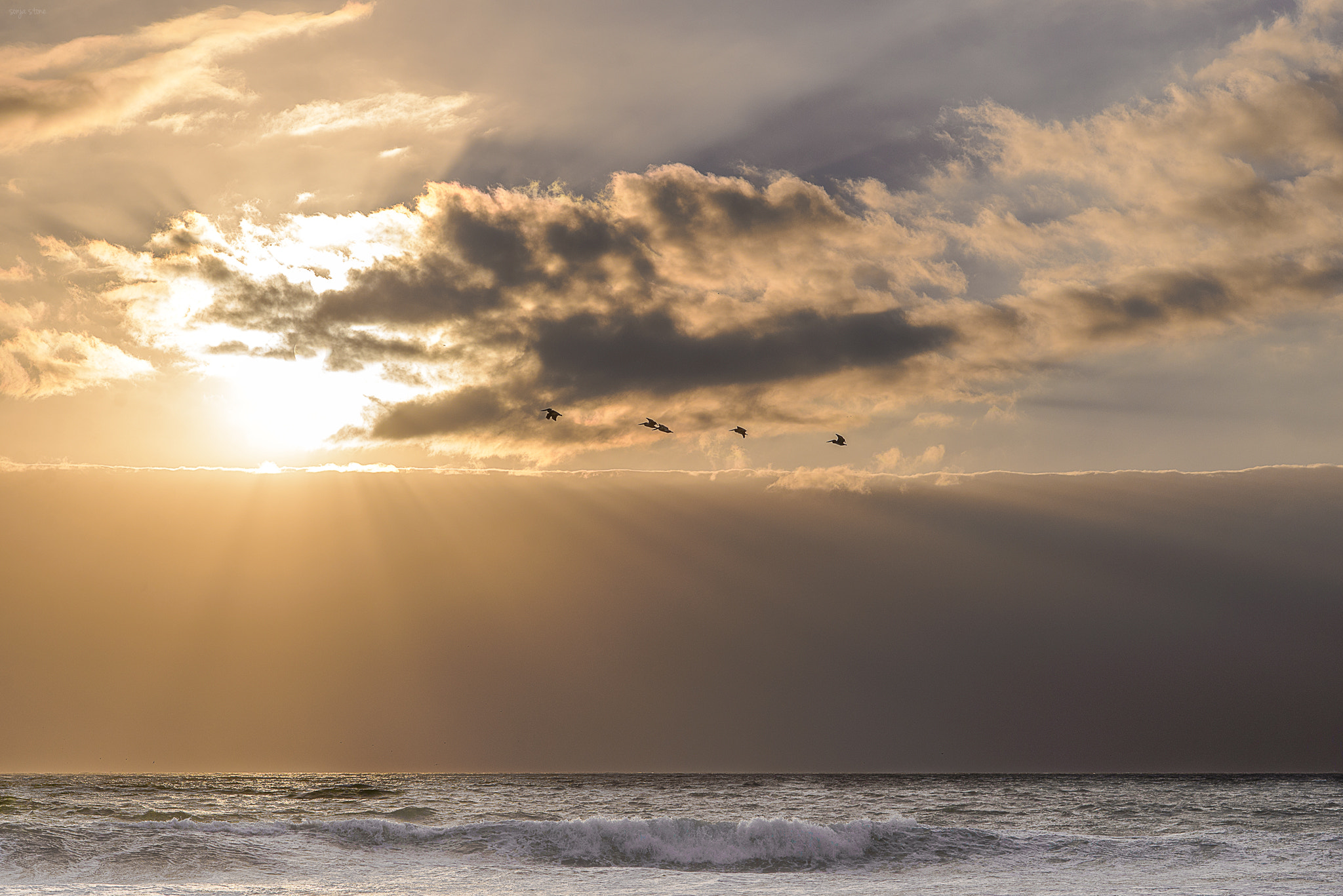 Nikon D600 + AF Nikkor 85mm f/1.8 sample photo. Fog bank sunset photography