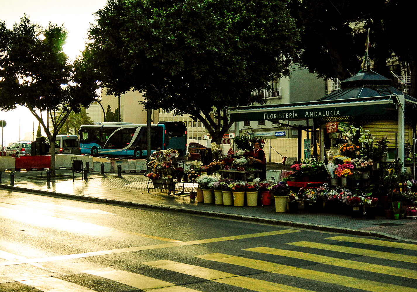 AF Zoom-Nikkor 28-80mm f/3.3-5.6G sample photo. Alameda de colon photography