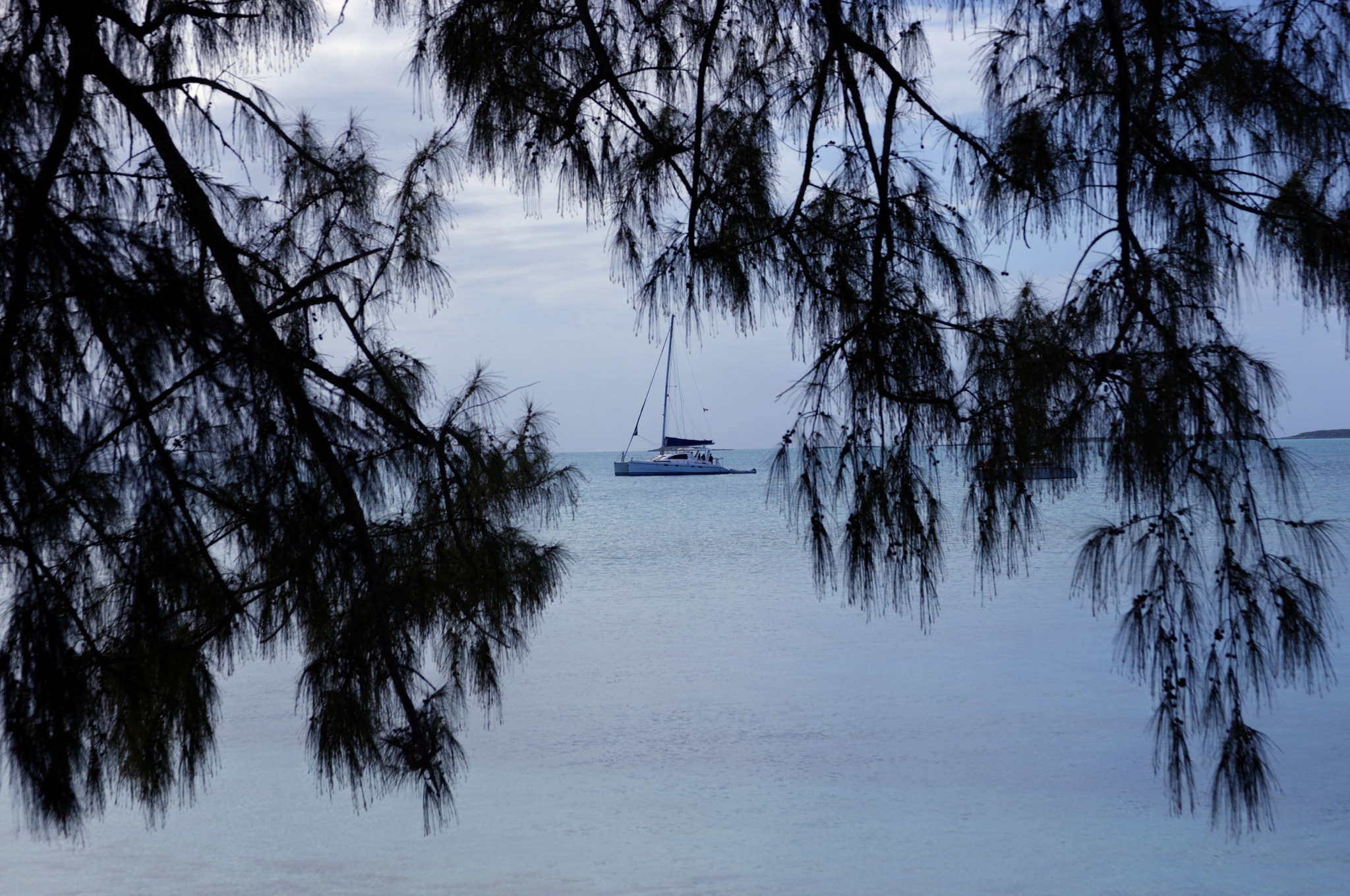 Canon EOS-1D Mark III sample photo. Catamaran photography