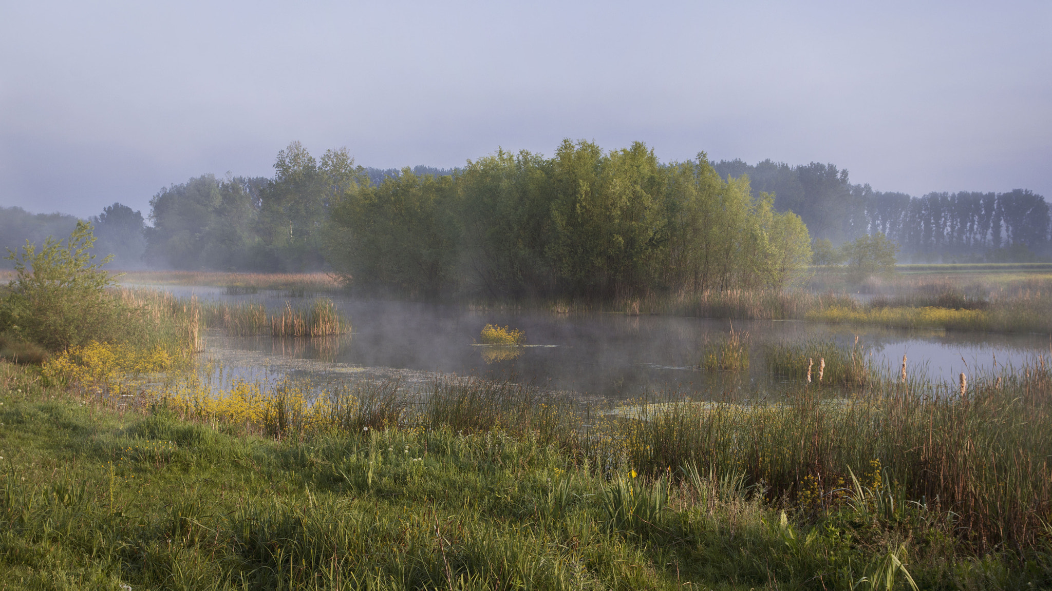 Nikon D800 sample photo. Lake in the morning 2 photography