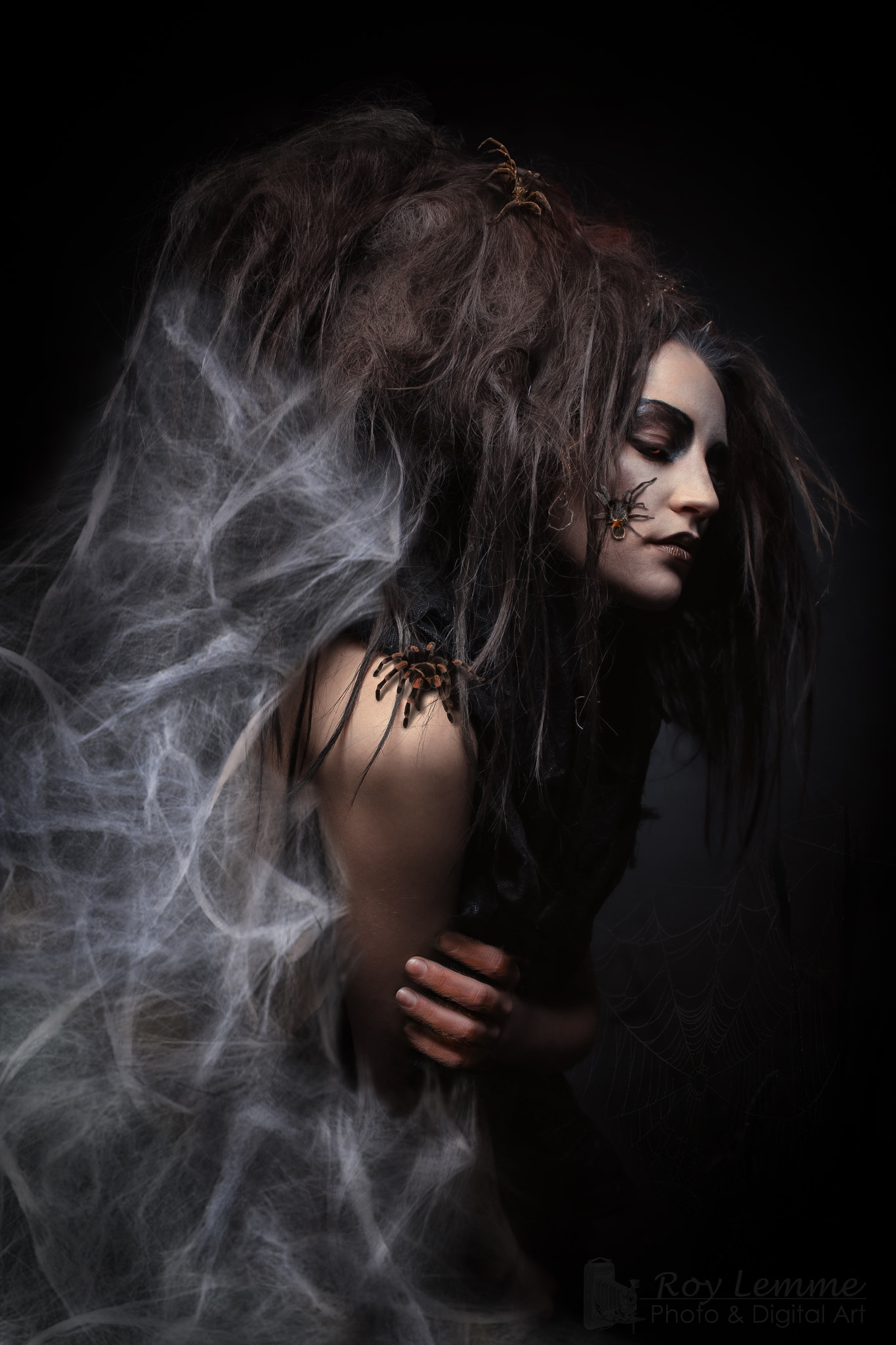 Sony a6000 + Sony DT 16-50mm F2.8 SSM sample photo. Black widow photography