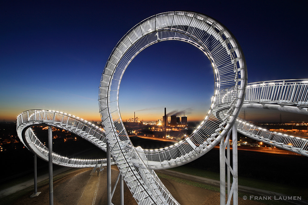Canon EOS 5DS + Canon TS-E 17mm F4L Tilt-Shift sample photo. Duisburg 03 - tiger and turtle photography