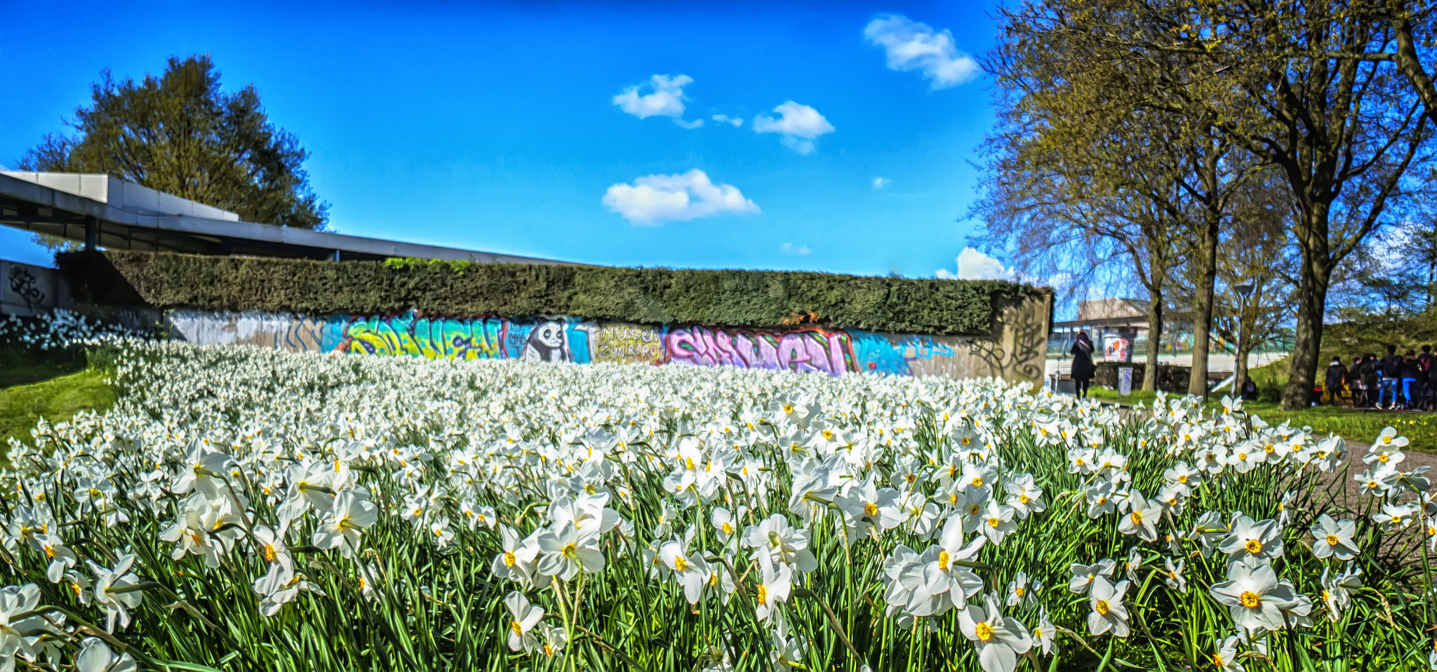 Sony Alpha NEX-3N + Sony E 10-18mm F4 OSS sample photo. The narcisistic narcissus photography