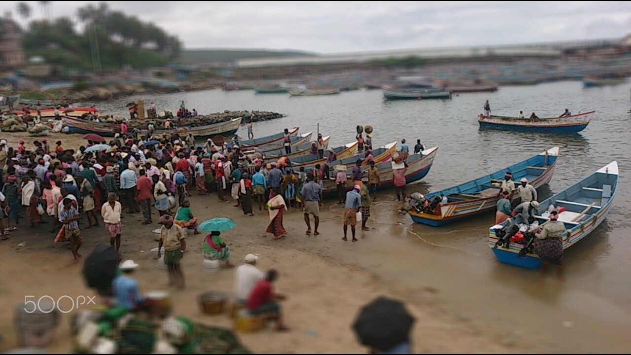 Sony Xperia ZR sample photo. Celebrations photography