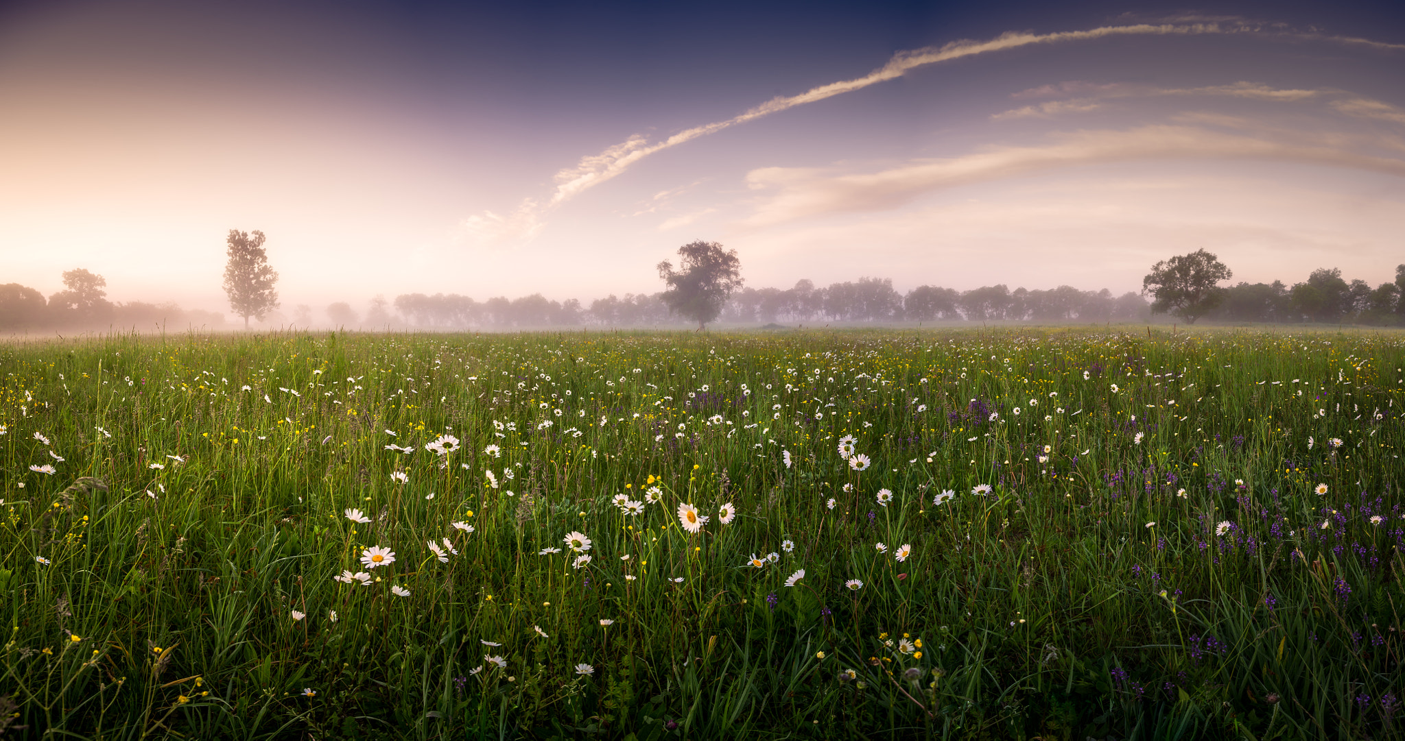 Nikon D600 sample photo. Morning photography