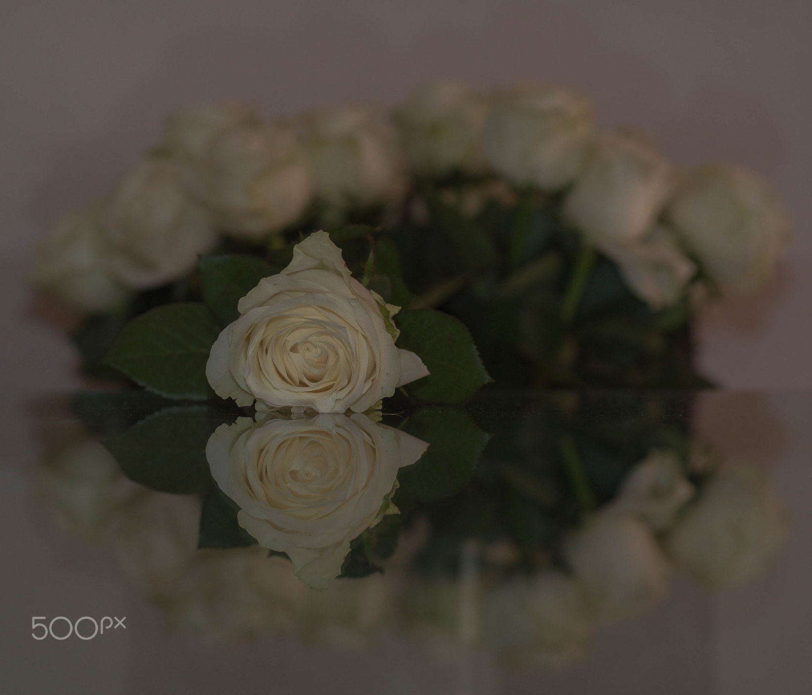 Nikon D750 + AF Micro-Nikkor 60mm f/2.8 sample photo. Flowers photography