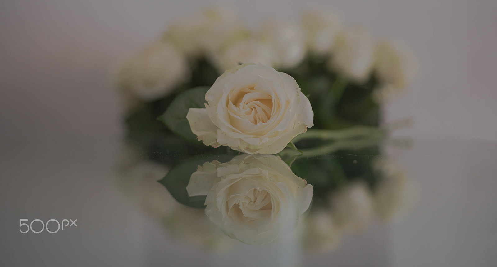 Nikon D750 + AF Micro-Nikkor 60mm f/2.8 sample photo. Mothers day photography