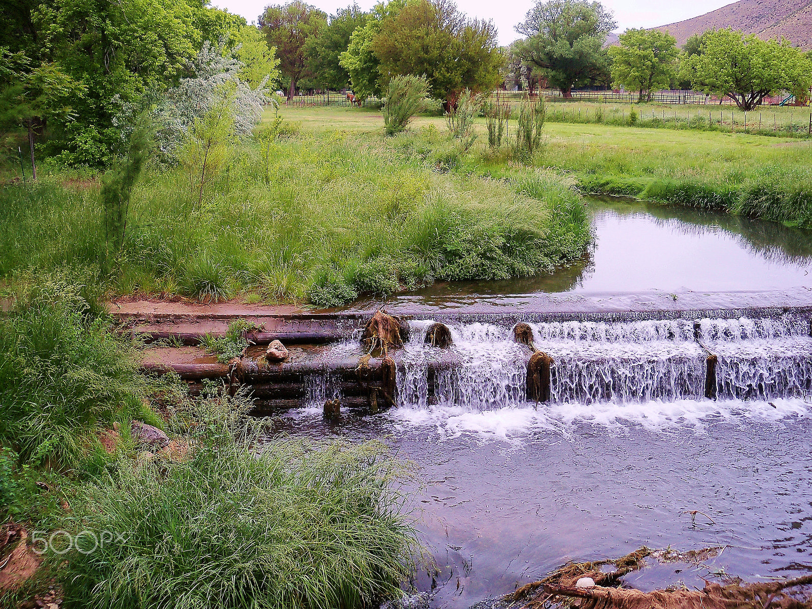 Kodak EasyShare Z915 sample photo. Hondo river area photography