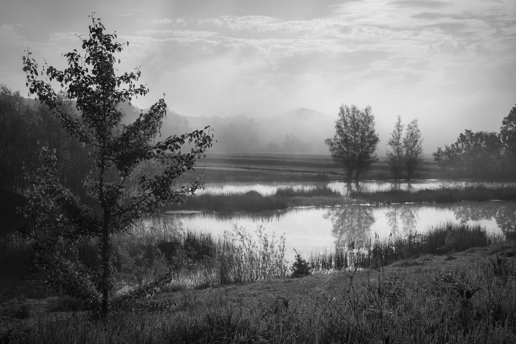 Nikon D800 sample photo. Lake in the morning 3 photography