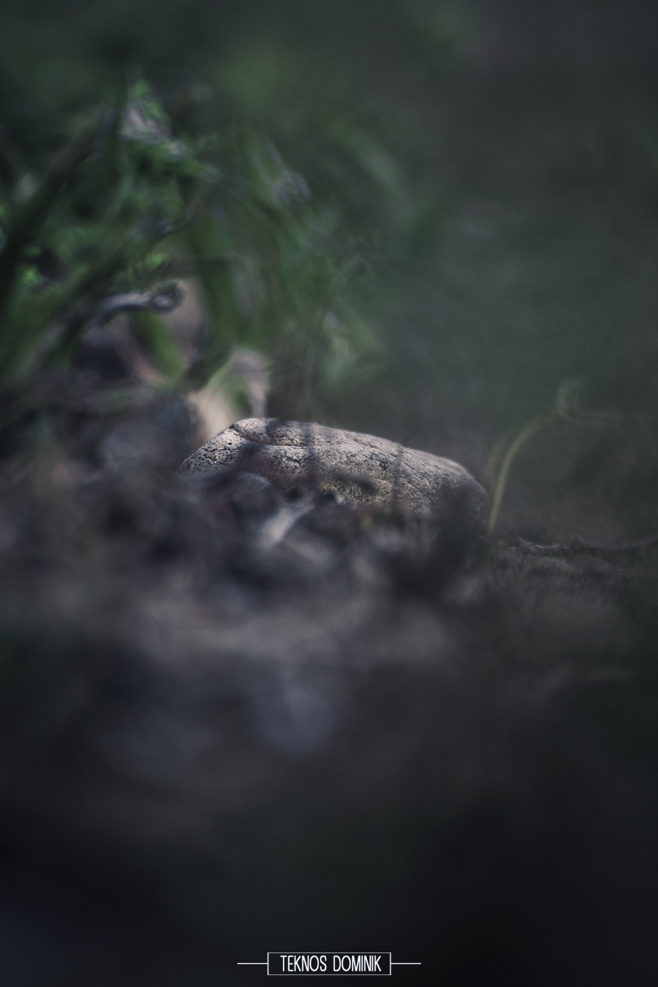 Sigma 55-200mm f/4-5.6 DC sample photo. Csak egy kő (just a stone) photography