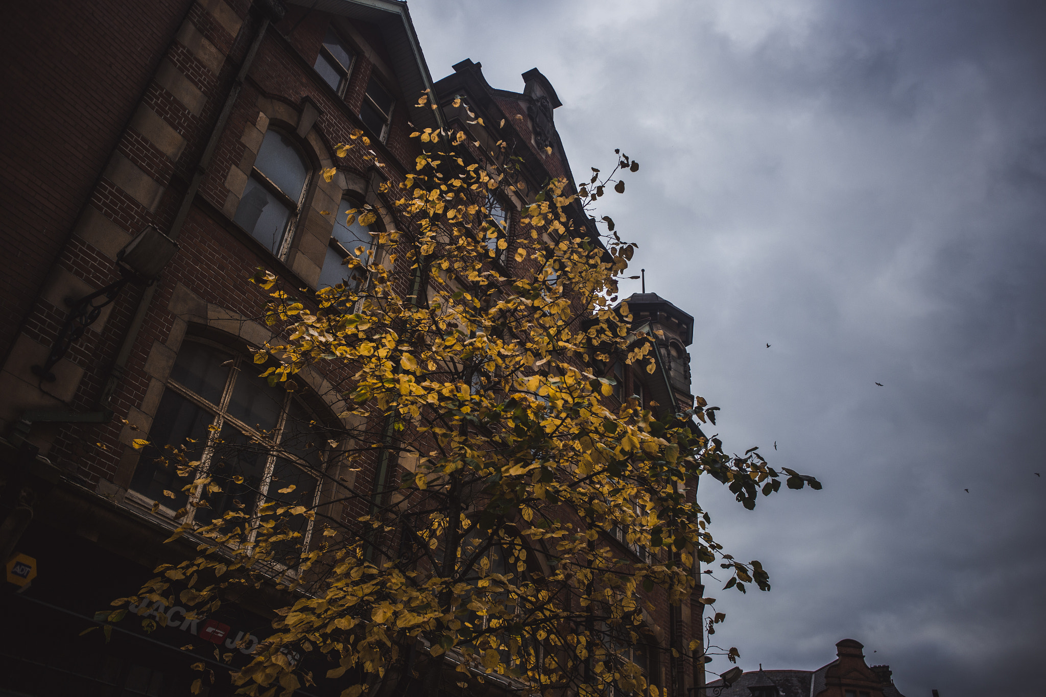 Canon EOS 6D + Canon EF 28mm F2.8 sample photo. English groove photography
