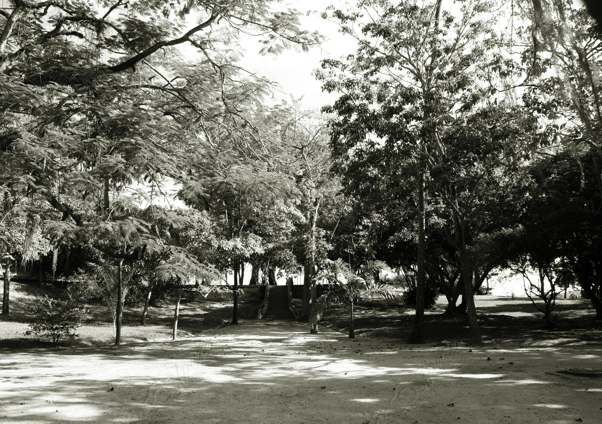 Canon EOS 40D sample photo. Praça de paquetá photography