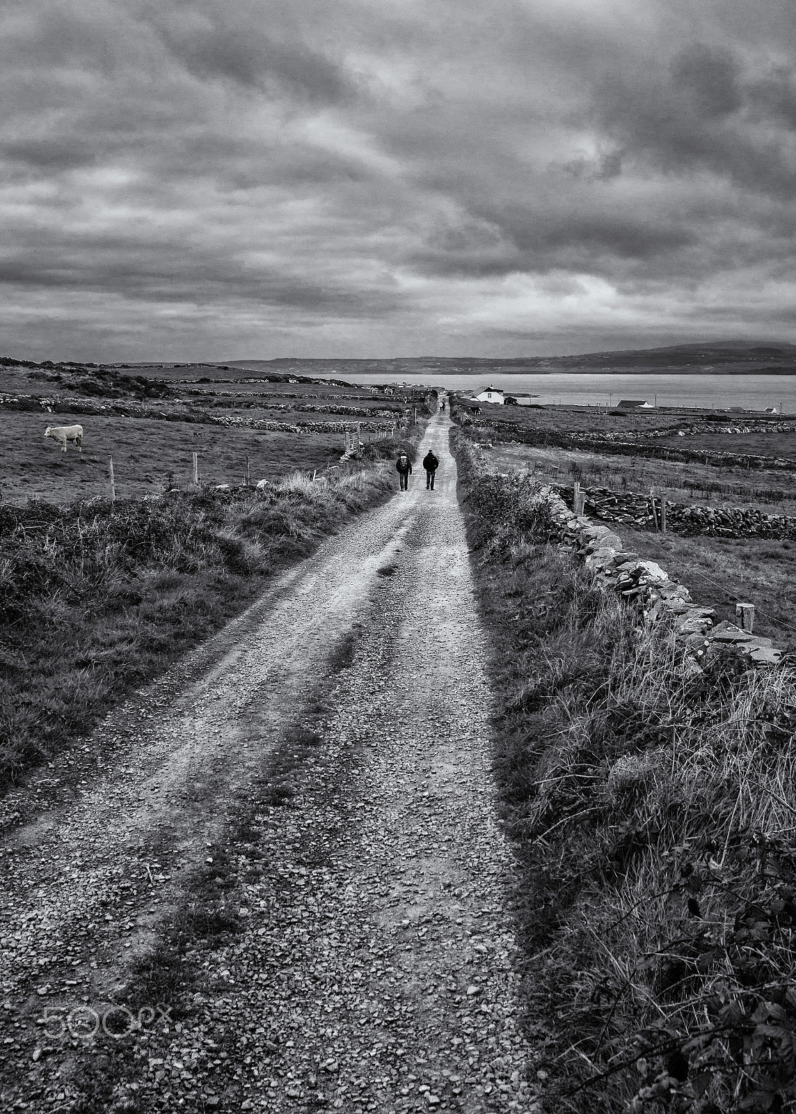 Sony SLT-A77 + Sigma 18-200mm F3.5-6.3 DC sample photo. Iarthar na hÉireann photography