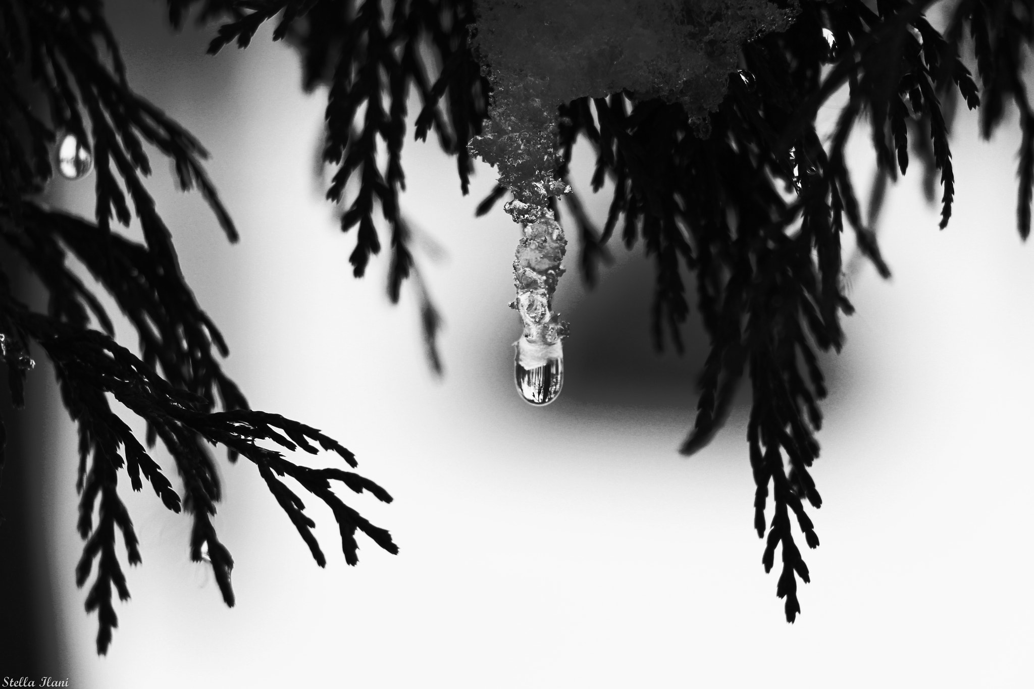Canon EF-S 18-135mm F3.5-5.6 IS STM sample photo. Melting away drop by drop photography