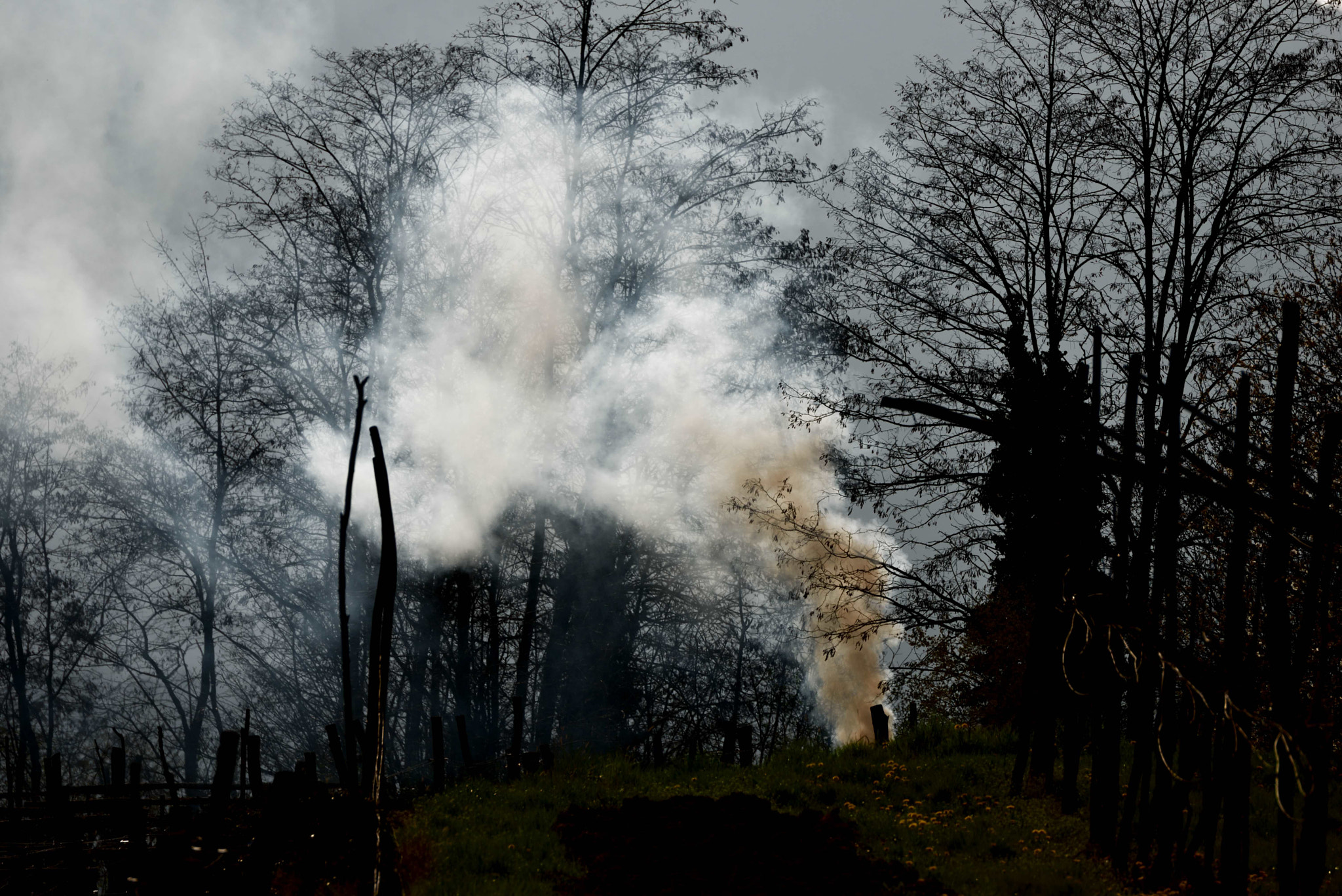 Nikon D600 sample photo. Country photography