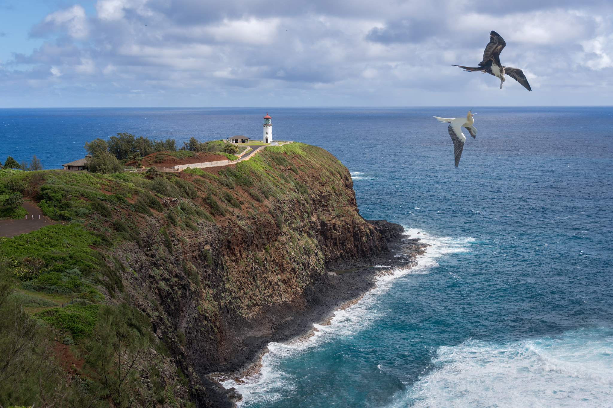 Nikon D5 sample photo. Kilauea light house, kauai photography