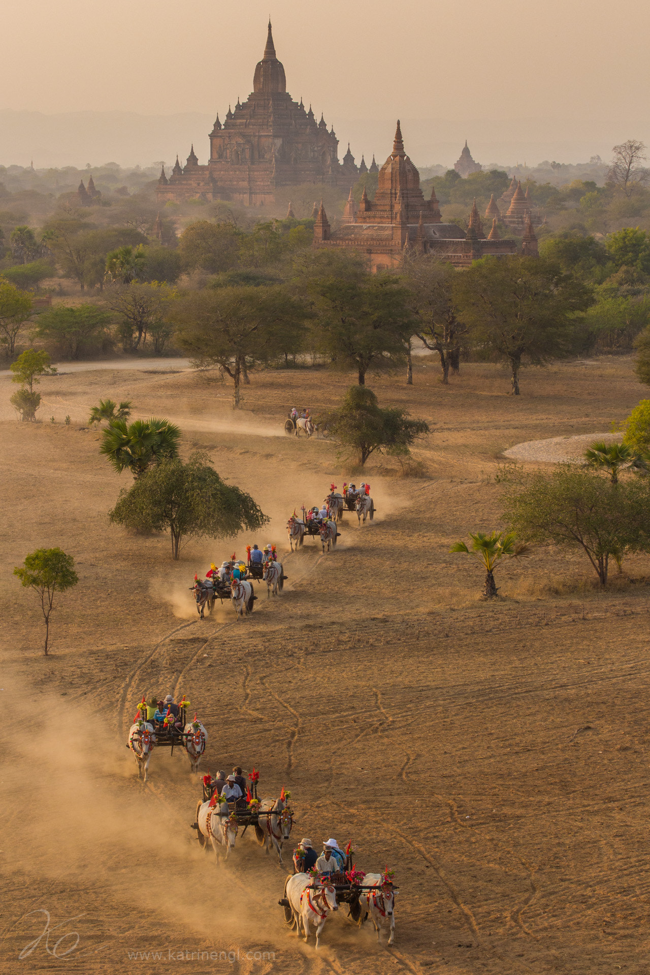 Tamron SP 35mm F1.8 Di VC USD sample photo. Oxcarts in bagan photography