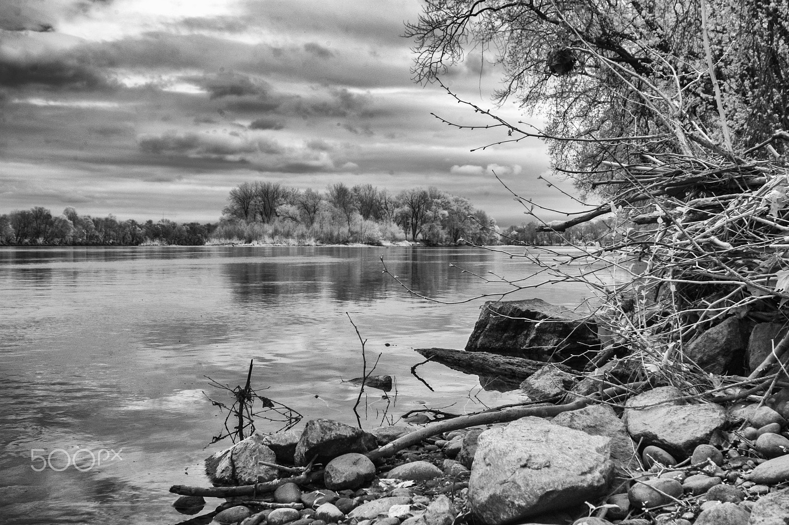 Nikon D50 sample photo. Natural beauty photography