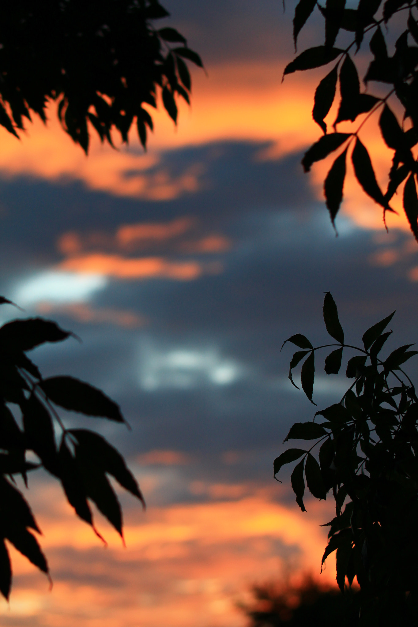 Canon EF 70-200mm F2.8L IS USM sample photo