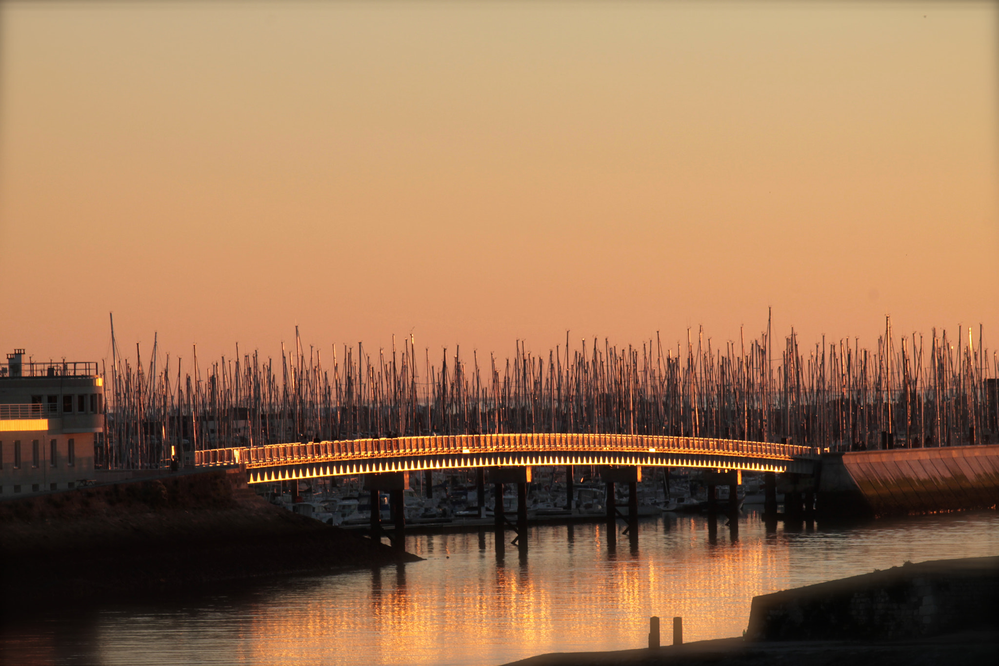 Canon EF 80-200mm F4.5-5.6 II sample photo