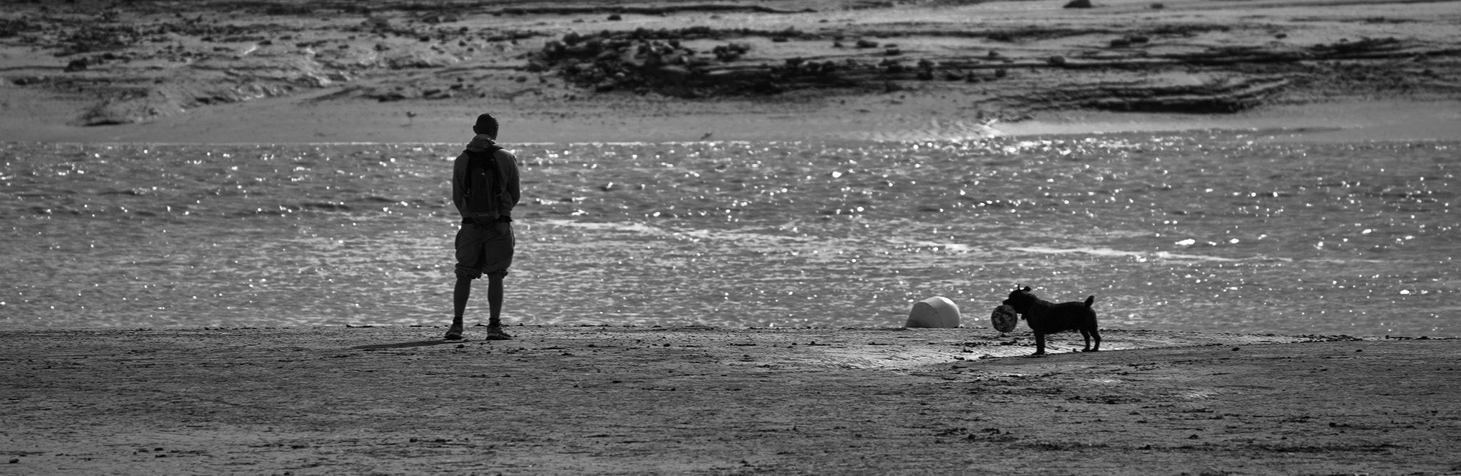 Tamron SP 70-300mm F4-5.6 Di USD sample photo. True friendship photography